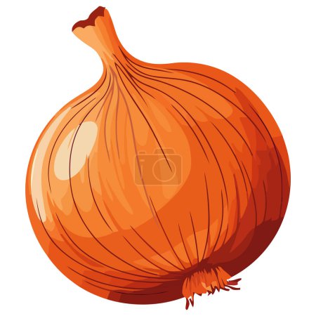 Illustration for Fresh onion ripe and organic vegetable isolated - Royalty Free Image