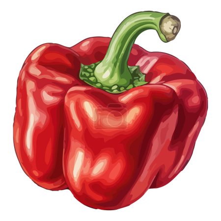 Illustration for Fresh organic pepper a healthy vegetarian ingredient isolated - Royalty Free Image