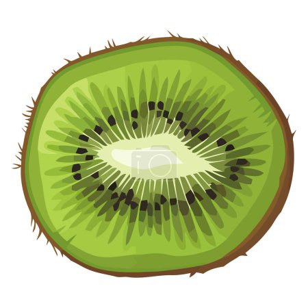 Illustration for Fresh organic kiwi ripe and juicy isolated - Royalty Free Image