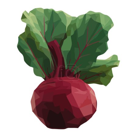 Ilustración de Remolacha común vegetariana fresca, icono de comida saludable aislado - Imagen libre de derechos