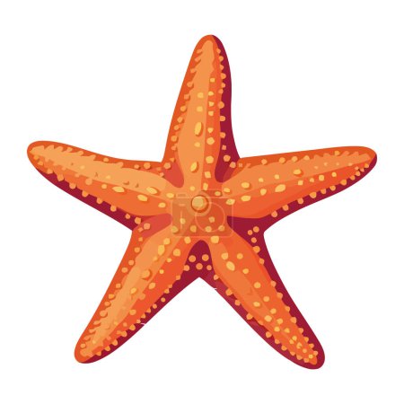 Téléchargez les illustrations : Scène estivale sous-marine étoile de mer animal isolé - en licence libre de droit