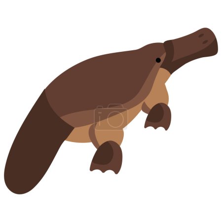 Illustration for Australia animal platypus illustration isolated - Royalty Free Image