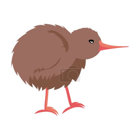 Australien Animal Kiwi Illustration isoliert