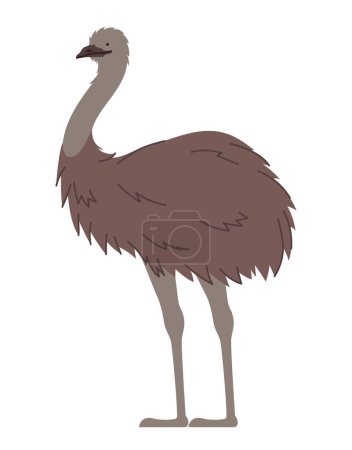 Téléchargez les illustrations : Australien emu animal exotique icône - en licence libre de droit