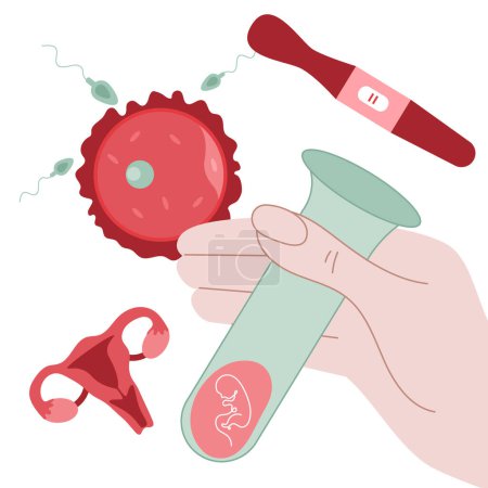 Illustration for The illustration with hands hold test-tube with embryo for artificial insemination. Set pregnancy elementas, womb, uterus, egg cell, sperm cell, and positive test. Illustration good for poster medical clinic. This is vector illustration was made in h - Royalty Free Image