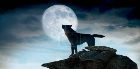 Foto de Silueta de lobo aullando a la luna llena 3d render - Imagen libre de derechos