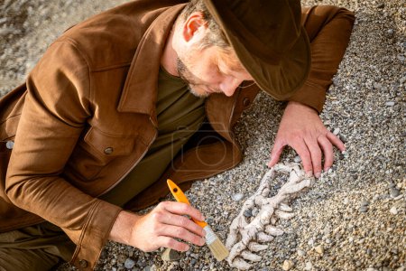 Photo for Paleontologist archaeologist unearths bones of dinosaur skull - Royalty Free Image