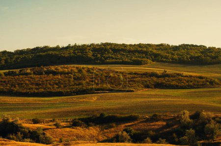 Téléchargez les photos : Beau paysage rural pendant l'automne sur les collines. - en image libre de droit