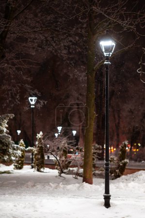 Vue verticale en plein air de certaines lampes de parc allumées en hiver neige froide nuit.