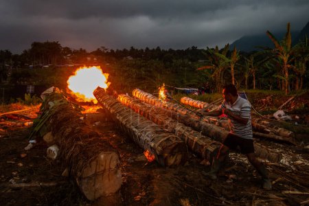 Foto de Los residentes de Cihanjawar Village, Sukamakmur Village, Bogor, Java Occidental, Indonesia, hicieron cañones de árboles Randu el 25 de abril de 2023 para el festival cultural tradicional de Kuluwung. - Imagen libre de derechos