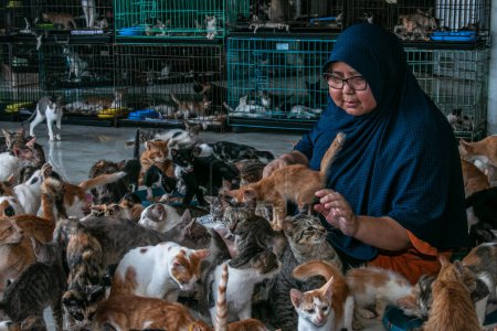 Photo for Dita Agusta and his cats in Rumah Kucing Parung, a shelter for sick and injured abandoned cats in Bogor, West Java, Indonesia, on May 23, 2023 - Royalty Free Image