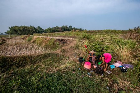 Photo for Bogor, Indonesia - August 12, 2023: Residents in Bogor, West Java, were forced to use infiltration water in the paddy field to wash clothes due to the scarcity of clean water caused by a drought - Royalty Free Image