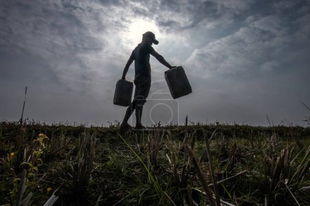 Photo for Bogor, Indonesia - August 12, 2023: Residents in Bogor, West Java, collected water infiltration in the paddy field for their needs at home due to a scarcity of clean water caused by a drought - Royalty Free Image