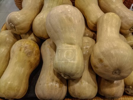 Photo for Selective focus of Butternut pumpkin arranged in a pile on top of each other - Royalty Free Image
