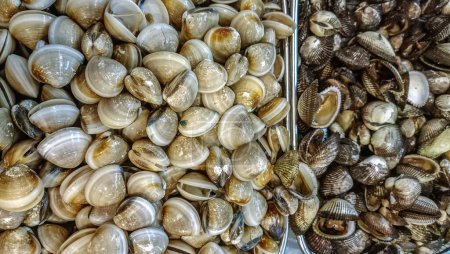 Photo for Piles of fresh raw shellfish as seafood sold at the market - Royalty Free Image
