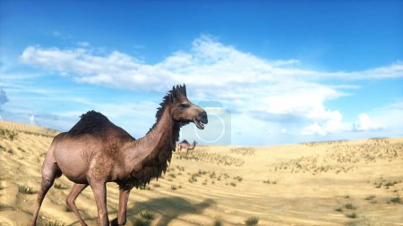 Camello caminando en el desierto. Sahara. renderizado 3d