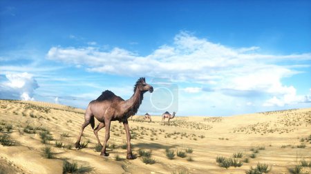 Camel walking in desert. Sahara. 3d rendering