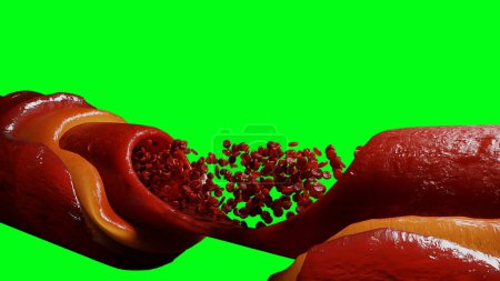 blood stream. red blood cells. Inside human body. Green screen isolate. 3d rendering