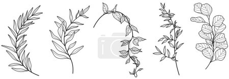 Foto de Ramas con hojas. Conjunto de elementos florales para decoración. Dibujos botánicos. Hojas pintadas en una rama. - Imagen libre de derechos