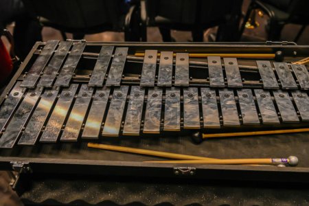 Photo for Xylophone prepared in the concert hall - Royalty Free Image