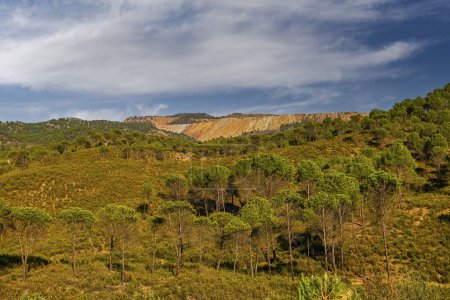 A lush pine forest foregrounds the striking open-pit mine under the vast sky near Huelva, Spain