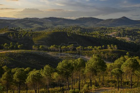 The soft evening light bathes the rolling hills and dense forests of Huelva, creating a peaceful landscape
