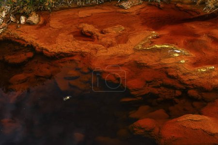 The Rio Tinto in Huelva, Spain, exhibits striking red and orange iron-rich deposits and green microorganism traces