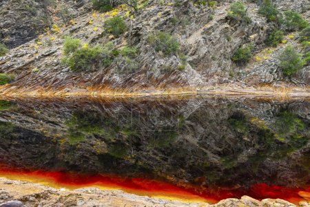 The waters of Rio Tinto create a stunning reflection of the red-tinted flora on its surface, a natural yet surreal scene