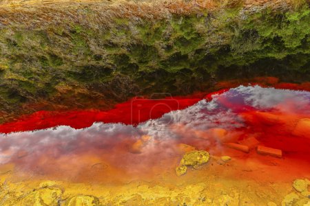The waters of Rio Tinto create a stunning reflection of the red-tinted flora on its surface, a natural yet surreal scene