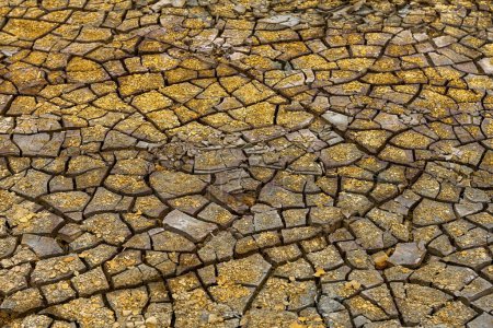 The parched soil of Rio Tinto is a mosaic of cracked earth interspersed with bright mineral deposits