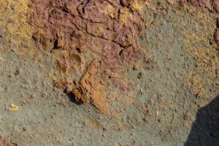 Close-up of the natural, vibrant earth tones and textures found in the Rio Tinto region