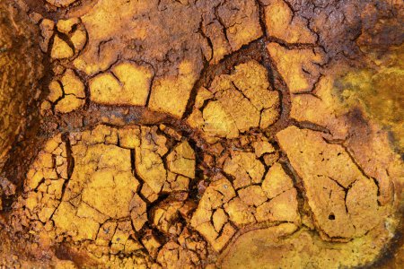 Sunlight casts a warm glow over the dry, cracked clay soil in the Rio Tinto area