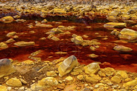 Téléchargez les photos : Les dépôts minéraux chauds et orange de Rio Tinto sculptent un paysage texturé avec des flaques réfléchissantes - en image libre de droit