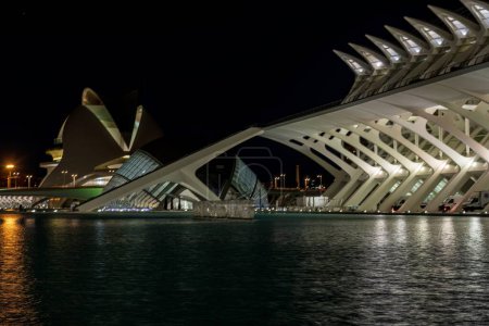 Vista iluminada de la Ciudad de las Artes y las Ciencias, mostrando un diseño moderno contra el cielo nocturno