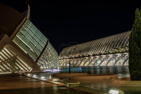 Illuminated view of the City of Arts and Sciences, showcasing modern design against the night sky