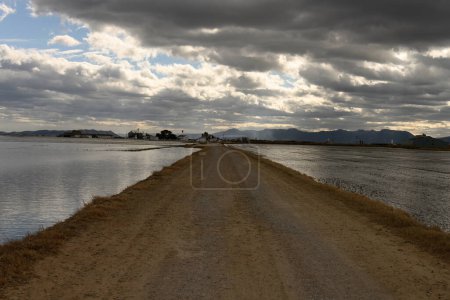 Menacing clouds hover over a serene path cutting through flooded rice fields in the Albufera Valencia, with mountains in the backdrop.