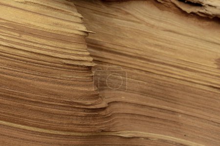 Detailed close-up of a weathered sandstone rock formation showcasing natural textures and layers. Ideal for backgrounds, nature themes, and geological studies