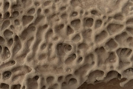 Close-up of honeycomb weathering patterns on a sandstone surface, showcasing natural erosion and unique textures. Ideal for geological studies and nature backgrounds.