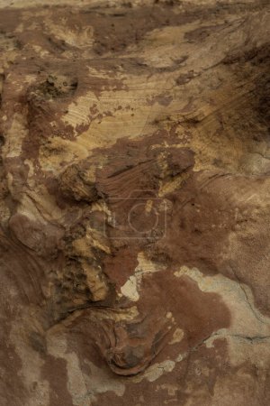 Close-up of weathered sandstone showcasing multicolored erosion marks and intricate textures. Ideal for nature backgrounds and geological studies.