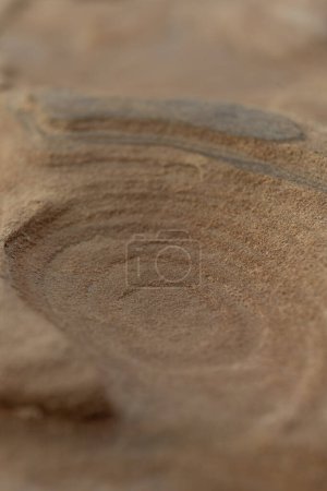 Close-up of a smooth sandstone surface featuring subtle natural patterns and textures. Perfect for backgrounds, nature themes, and geological studies.
