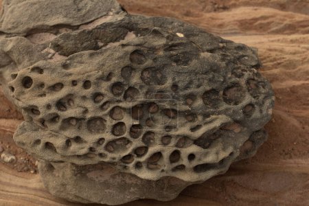 Close-up of intricate honeycomb weathering patterns on sandstone rocks. Showcases natural textures and erosion features. Ideal for geological studies and nature backgrounds.
