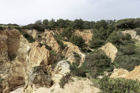 View of an eroded cliffside surrounded by lush green forest near Portimao, Portugal. The dramatic geological features contrast with the dense vegetation.