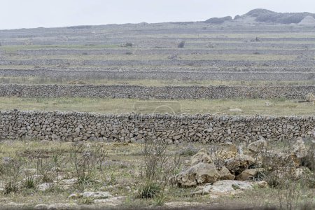 Traditionelle Trockensteinbauten in Punta Nati, Menorca. Die komplizierten Steinmauern und Strukturen verschmelzen mit der natürlichen Landschaft voller Wildblumen.