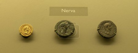 Display of ancient Roman coins featuring Emperor Nerva at the Merida Museum, Spain, highlighting the numismatic history and portraits of the Roman Emperor.
