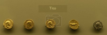 Display of ancient Roman gold coins featuring Emperor Titus at the Merida Museum, Spain, highlighting numismatic history and imperial portraits.