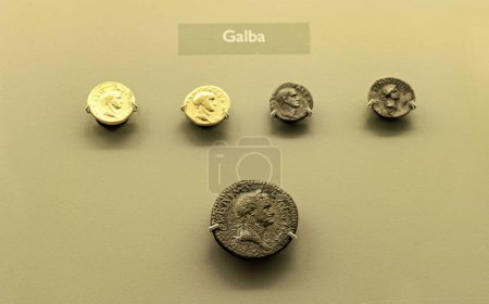 Display of ancient Roman gold and silver coins featuring Emperor Galba at the Merida Museum, Spain, showcasing numismatic history and imperial portraits.