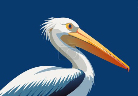 A white pelican with a yellow beak stands on a blue background. The bird's head is turned to the right, and its body is spread out. Concept of freedom and grace