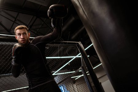 Photo for Focused athlete in boxing gloves working on punching technique and power on heavy bag during training session in gym - Royalty Free Image