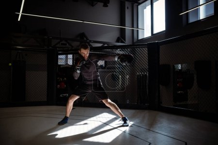 Photo for Determined concentrated young adult fighter immersed in shadowboxing, perfecting precise punches and footwork in rays of sunlight in boxing cage in modern urban gym setting - Royalty Free Image