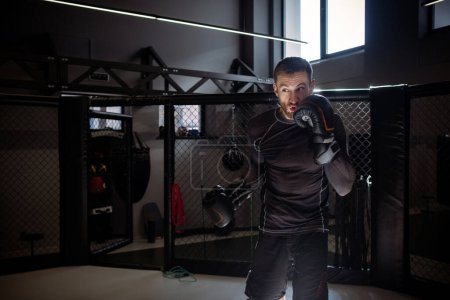 Photo for Focused expressive male MMA fighter in boxing gloves training punches inside octagonal cage in gym setting, practicing shadow fighting alone - Royalty Free Image